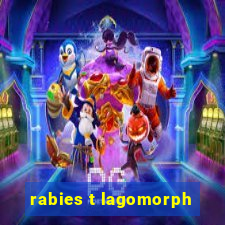 rabies t lagomorph